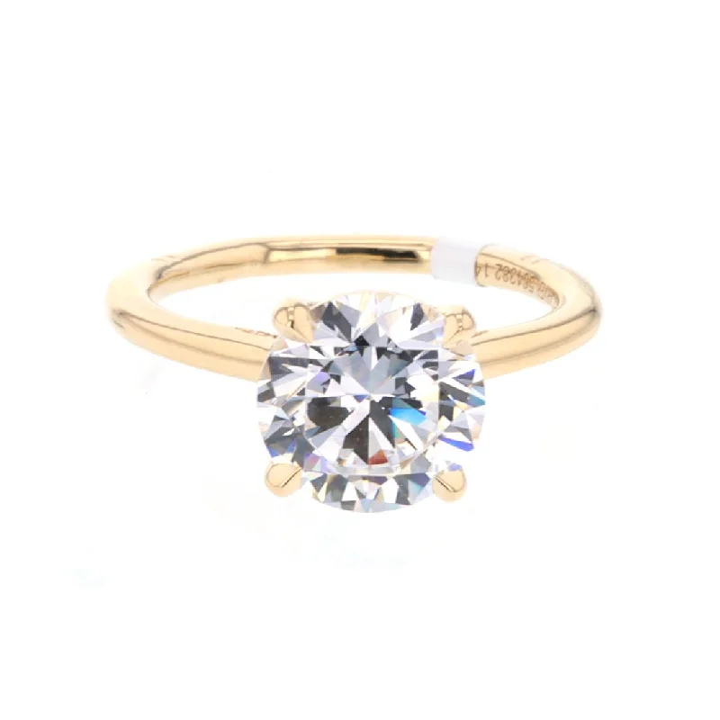 0.12 ctw Diamond Hidden Halo Engagement Ring